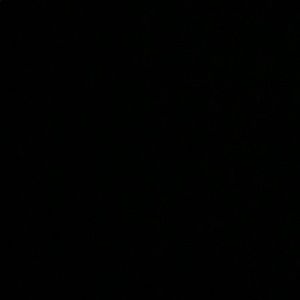 Meet your Posher, Manny